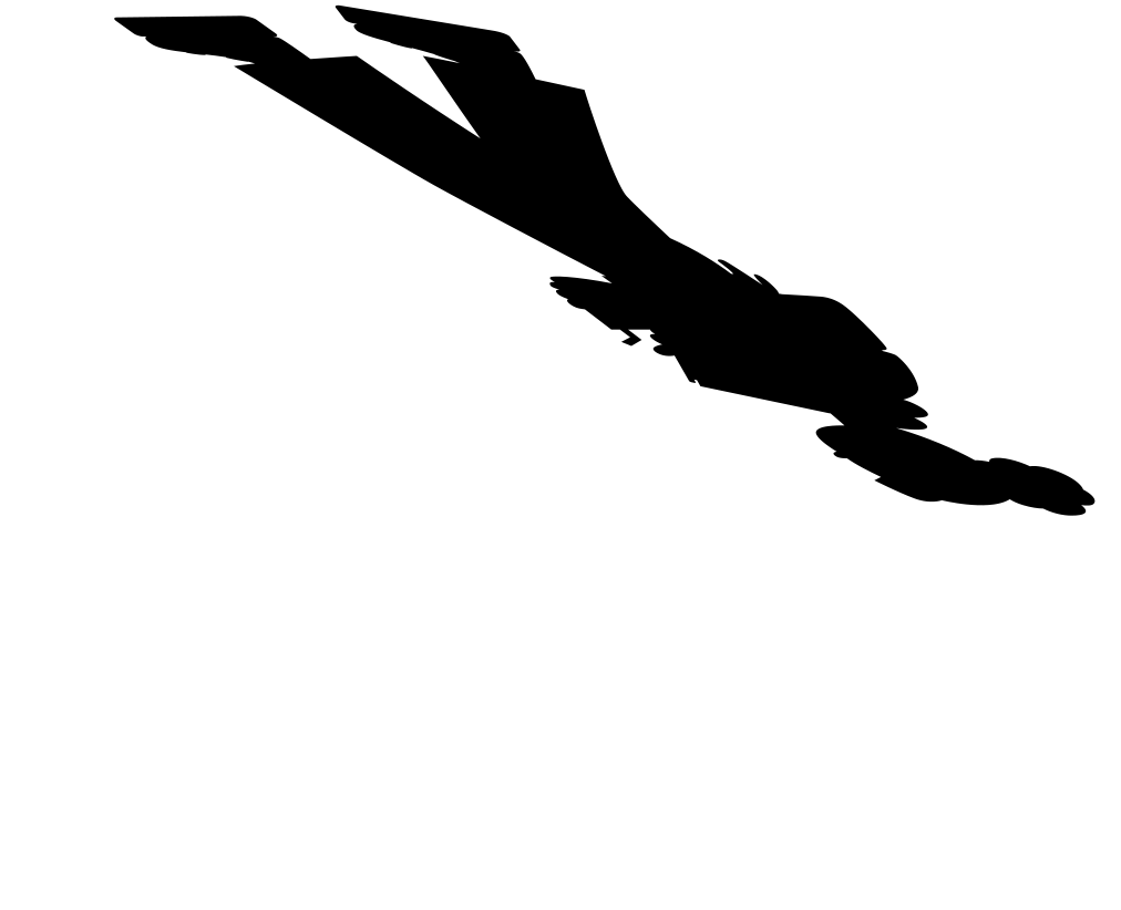 影